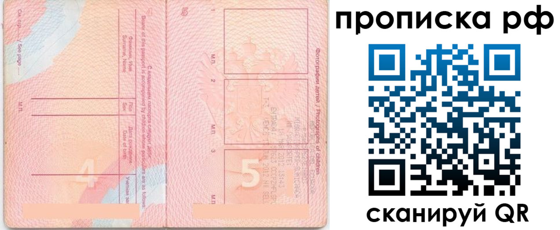 прописка иностранных граждан в Апатитах